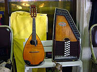 Mandolin(Segovia),Croma Harp(samick)