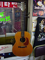 Steel Guitar,samick YAIRI S-8(korea OEM)